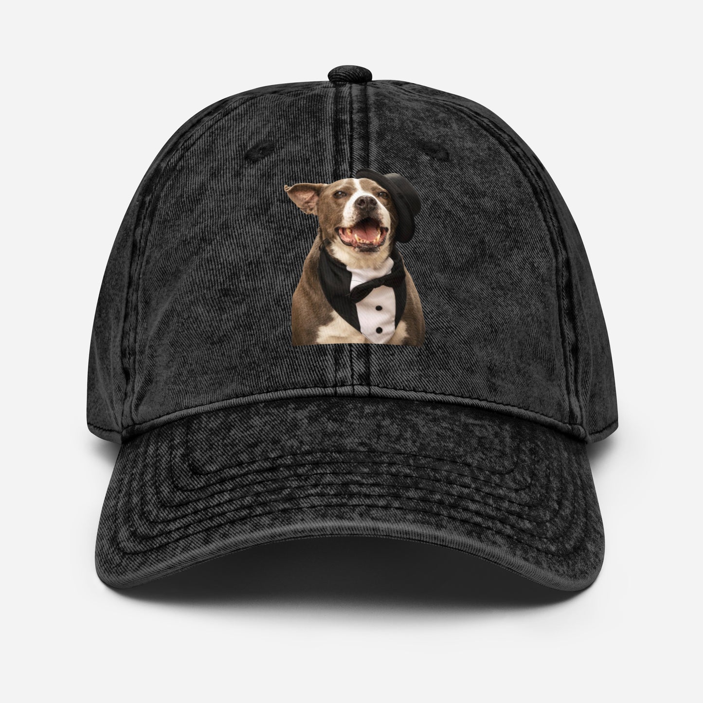 Party Dog Rescue Cotton Twill Hat by Mighty Shirt