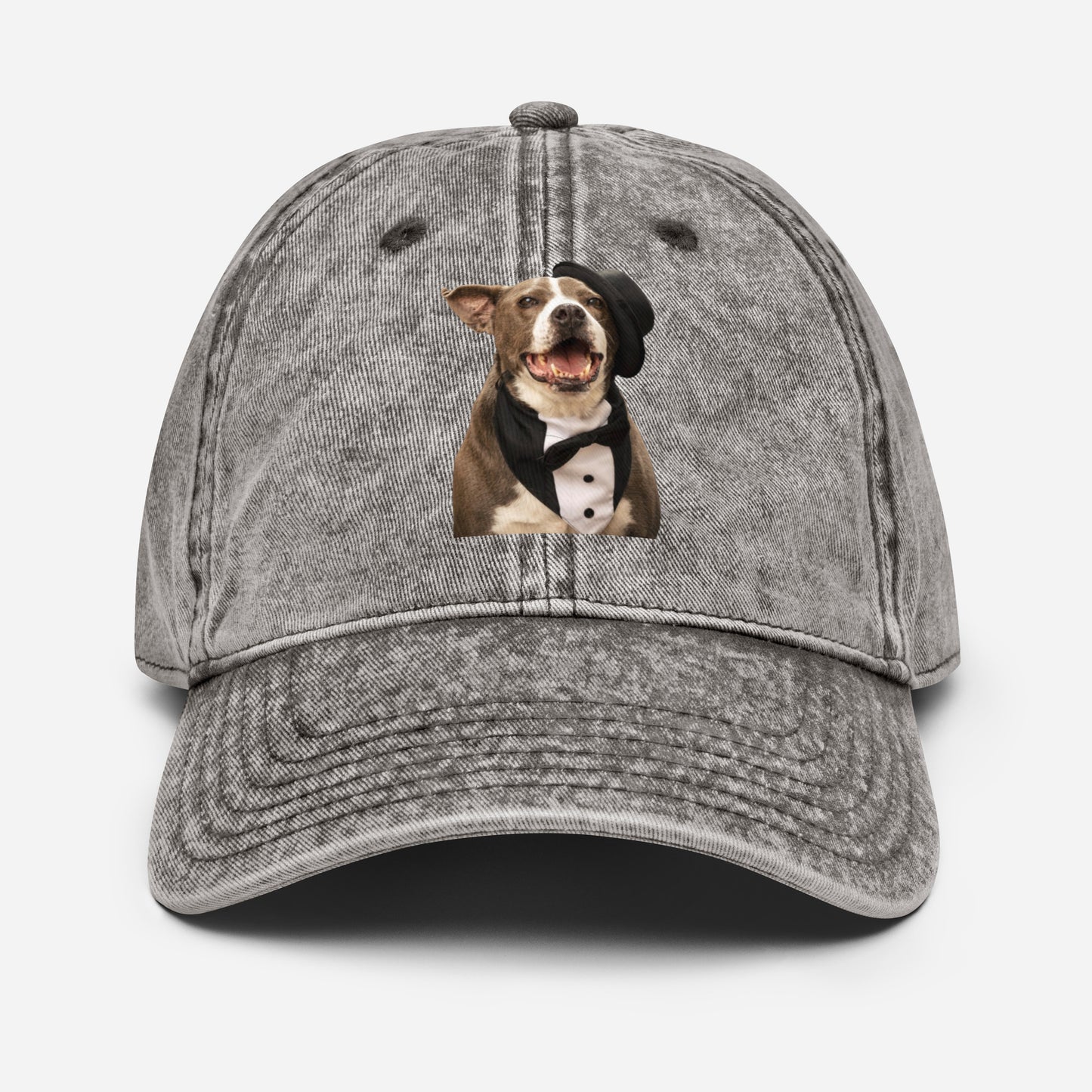 Party Dog Rescue Cotton Twill Hat by Mighty Shirt