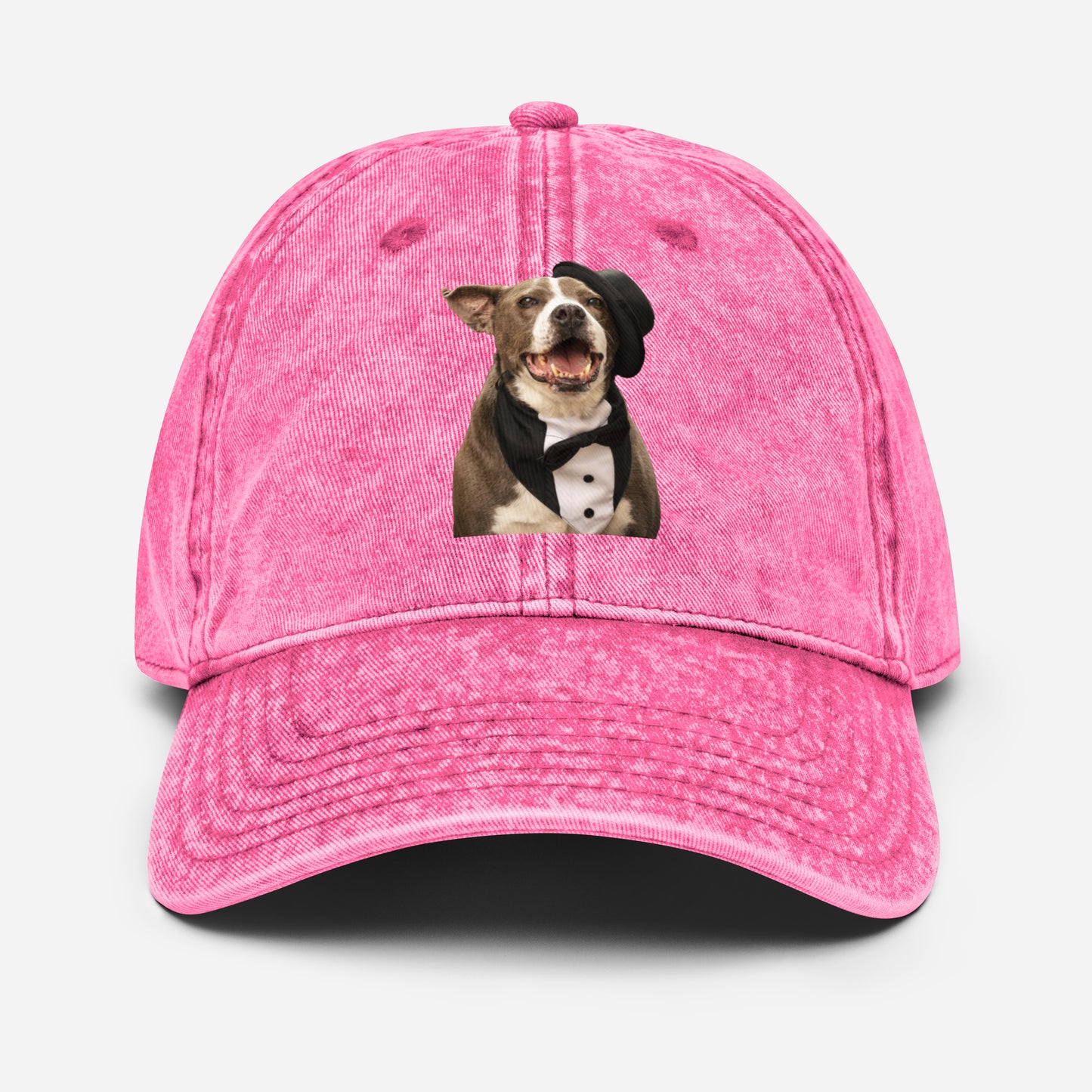 Party Dog Rescue Cotton Twill Hat by Mighty Shirt