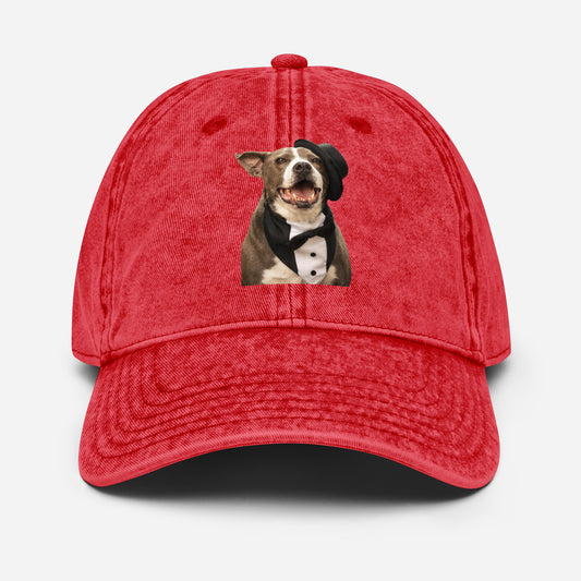 Party Dog Rescue Cotton Twill Hat by Mighty Shirt